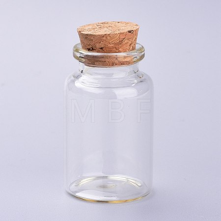 Glass Bottles AJEW-H102-06B-1