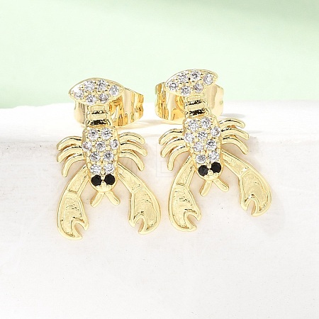 Brass Micro Pave Cubic Zirconia Stud Earrings KK-CBA5B62-06G-1