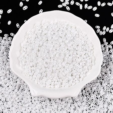 Opaque Colours Luster Glass Seed Beads SEED-T006-02L-1