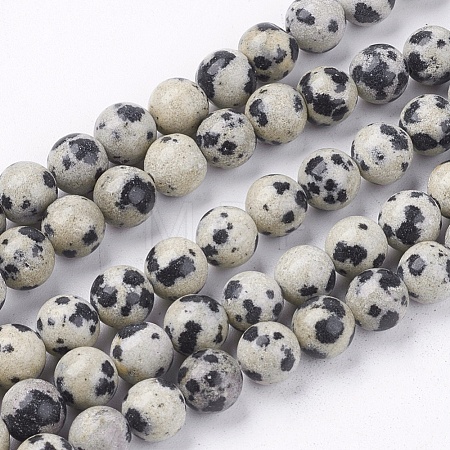 Natural Dalmatian Jasper Stone Bead Strands X-G-R193-14-6mm-1