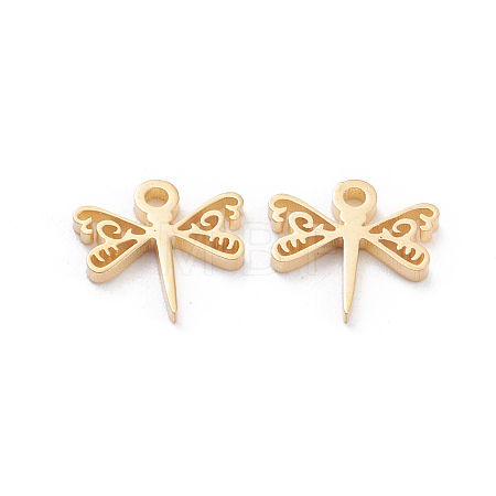 304 Stainless Steel Charms X-STAS-I151-06G-1