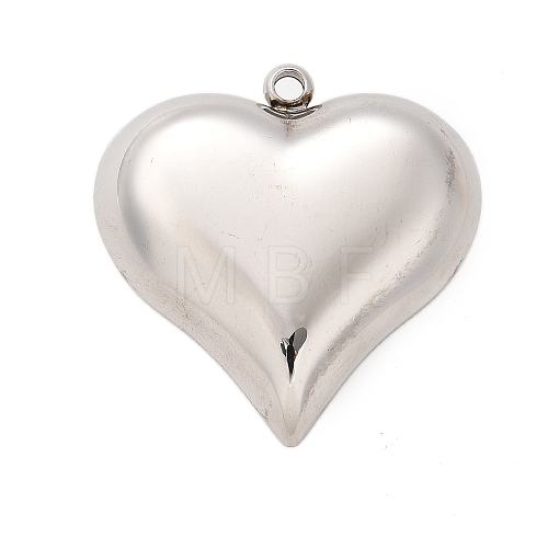 304 Stainless Steel Pendants STAS-Q349-02D-P-1