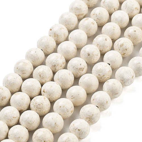 Natural Fossil Beads Strands G-H026-02B-1