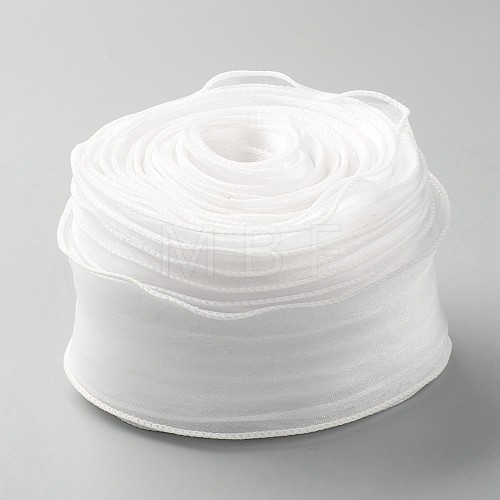 Organza Ribbon ORIB-B001-14-1