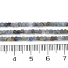 Natural Kyanite Beads Strands G-B088-E24-02-3