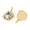 Brass Natural Paua Shell Irregular Pendants KK-I453-01G-03-2