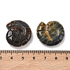 Natural Tiger Eye Conch Display Decorations DJEW-D303-01A-3