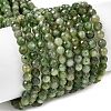 Natural Green Jasper Beads Strands G-RM250101-C10-2