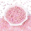 Glass Seed Beads & Bugle Beads SEED-Q041-04A-2