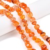 Natural Agate Beads Strands G-N342-65D-4