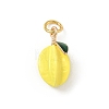 Brass Enamel Pendants KK-H523-01A-G-1
