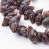 Natural Spiral Shell Beads Strands BSHE-L036-31-2