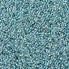 MIYUKI Round Rocailles Beads SEED-JP0008-RR0263-4
