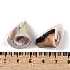 Natural Shiva Eye Shell Beads SHEL-K009-17E-3