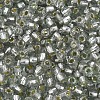 Silver Lined Glass Seed Beads SEED-T007-18A-03-3