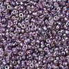 MIYUKI Round Rocailles Beads X-SEED-G007-RR1012-3