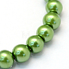 Baking Painted Pearlized Glass Pearl Round Bead Strands HY-Q003-4mm-13-2