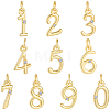10Pcs 10 Styles Brass Micro Pave Clear Cubic Zirconia Charms KK-BBC0025-92-1