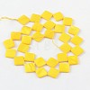 Natural Freshwater Shell Beads SHEL-S214-1-2