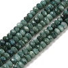 Natural Freshwater Shell Dyed Beads Strands SHEL-R100-13A-05-1