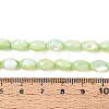 Natural Trochus Shell Beads Strands SHEL-K006-19-01C-4