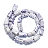 Natural Purple Turquoise Beads Strands G-K245-I09-A01-2