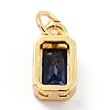 Real 18K Gold Plated Brass Inlaid Cubic Zirconia Charms ZIRC-L100-075G-05-4