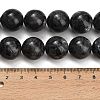 Natural Larvikite Beads Strands GSR16mmC128-4
