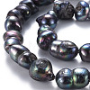 Natural Keshi Pearl Beads Strands PEAR-S021-160B-01-3