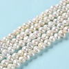 Natural Cultured Freshwater Pearl Beads Strands PEAR-E018-47-2
