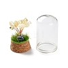 Natural Yellow Quartz Chips Money Tree in Dome Glass Bell Jars with Wood Base Display Decorations DJEW-K030-02H-3