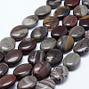 Natural Polychrome Jasper/Picasso Stone/Picasso Jasper Beads Strands G-L472-B-05-18x13mm-1