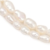 Natural Cultured Freshwater Pearl Beads Strands PEAR-P064-20G-03A-4