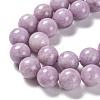 Natural Lepidolite Beads Strands G-H247-11C-3