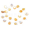 Natural Yellow Shell Beads Strands SSHEL-S278-117-2