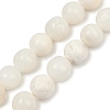 Natural White Shell Beads Strands BSHE-U001-01E-1