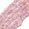 Natural Kunzite Beads Strands G-P597-A01-01-2