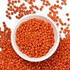 6/0 Glass Seed Beads X1-SEED-A010-4mm-50-2