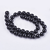 Natural Black Onyx Beads Strands G-H1567-10MM-2