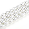 Baking Paint Pearlized Glass Pearl Bead Strands X-HY-T002-01A-01-3