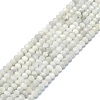 Natural Rainbow Moonstone Beads Strands G-F715-086-1