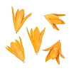 Epoxy Resin & Dried Flower Pendants RE-CBAAE94-05B-1