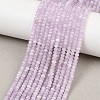 Natural Kunzite Beads Strands G-B175-A11-2x4mm-1