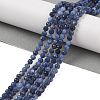 Natural Sodalite Beads Strands G-B088-C25-04-5