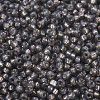 MIYUKI Round Rocailles Beads SEED-JP0008-RR0650-3