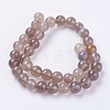 Natural Agate Beads Strands G-G583-10mm-08-2
