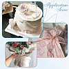 1Bag Organza Ribbon ORIB-CY0001-04A-6