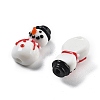 Handmade Lampwork Beads LAMP-I020-19-6