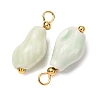 Handmade Porcelain Pendants PR-CBAC347-03C-2