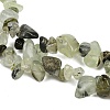 Prehnite Chip Bead Strands G-M205-11-3